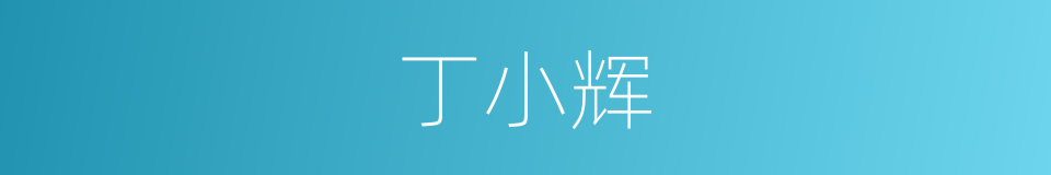 丁小辉的同义词