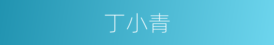 丁小青的同义词