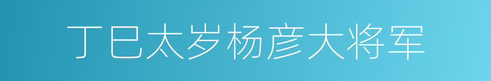 丁巳太岁杨彦大将军的同义词