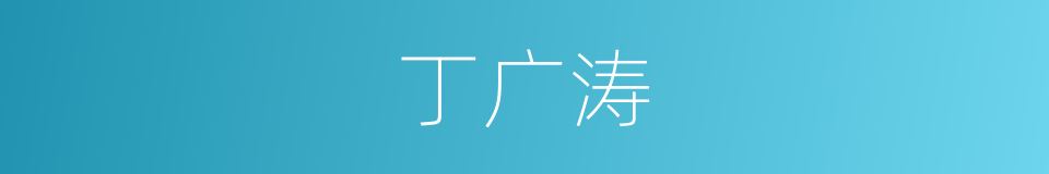 丁广涛的同义词