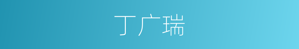 丁广瑞的同义词