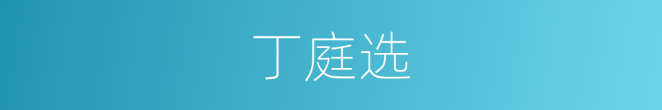 丁庭选的同义词