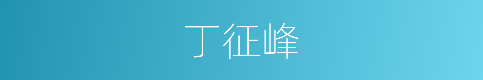 丁征峰的同义词