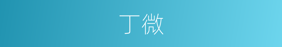 丁微的同义词