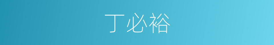 丁必裕的同义词