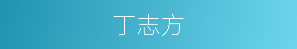 丁志方的同义词