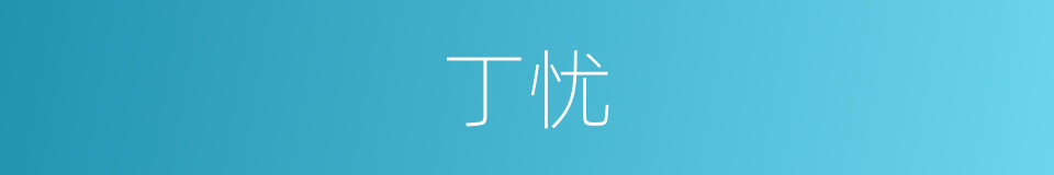 丁忧的意思