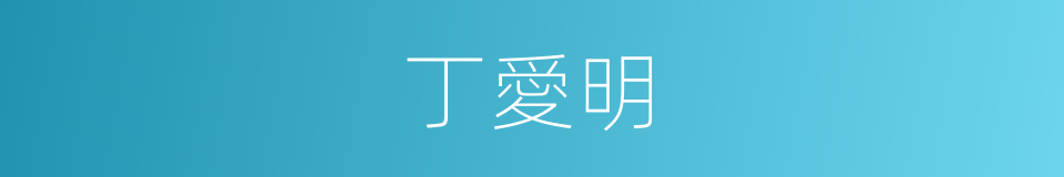 丁愛明的同義詞