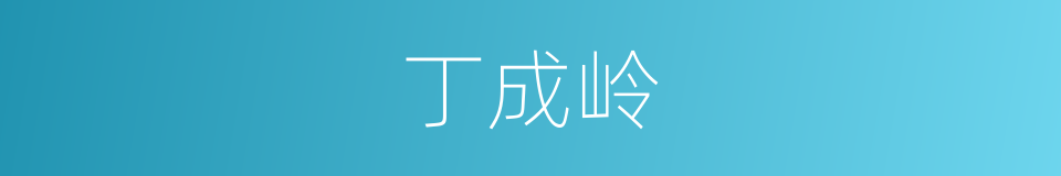 丁成岭的同义词