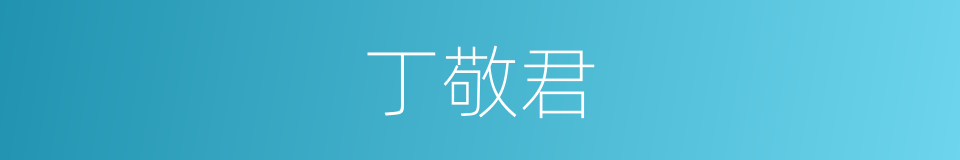 丁敬君的同义词