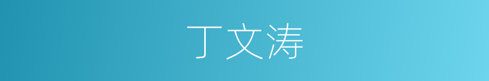 丁文涛的同义词