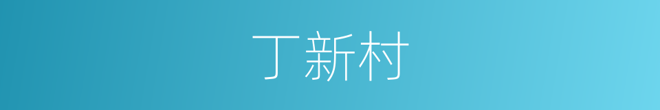 丁新村的同义词