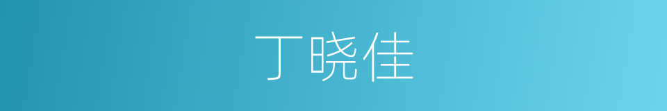 丁晓佳的同义词