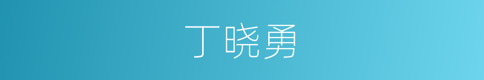 丁晓勇的同义词