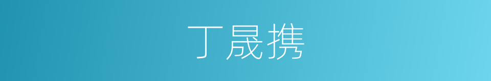 丁晟携的同义词