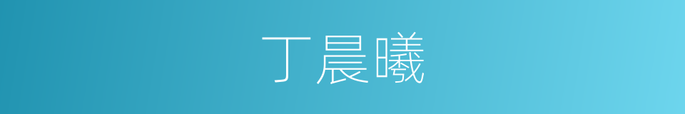 丁晨曦的同义词