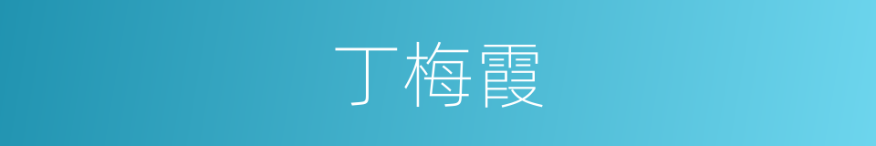 丁梅霞的同义词