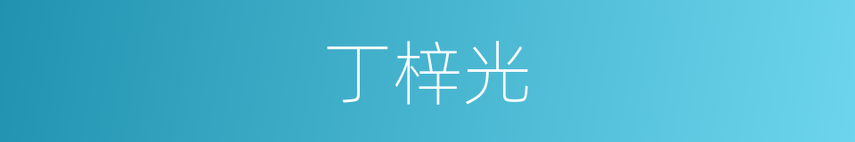 丁梓光的同义词