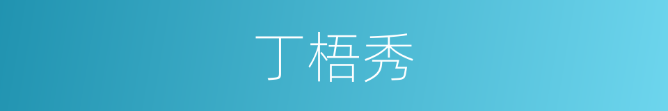 丁梧秀的同义词