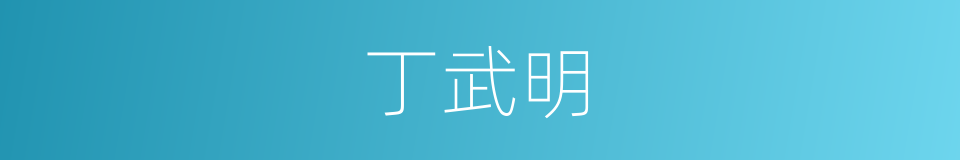 丁武明的同义词