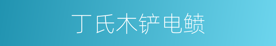 丁氏木铲电鲼的同义词