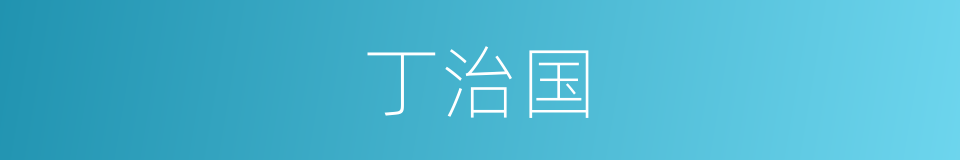 丁治国的同义词