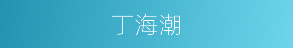 丁海潮的同义词