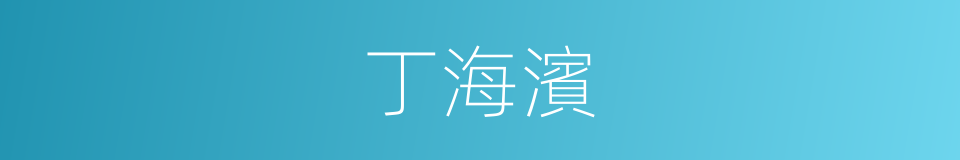 丁海濱的同義詞