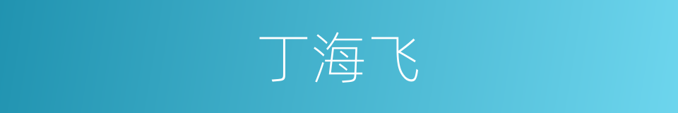 丁海飞的同义词