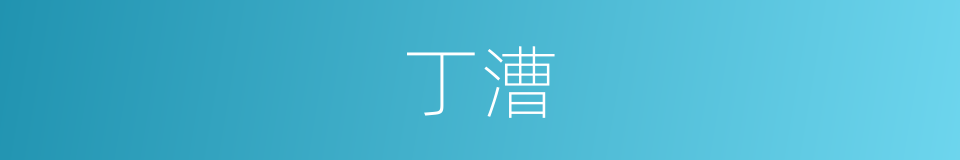 丁漕的意思