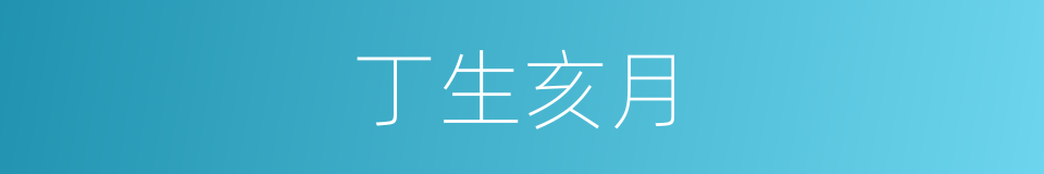 丁生亥月的同义词