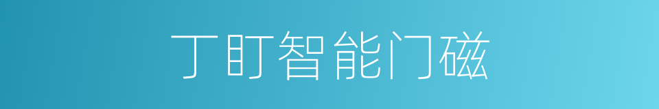 丁盯智能门磁的同义词