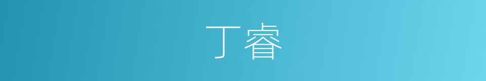 丁睿的同义词
