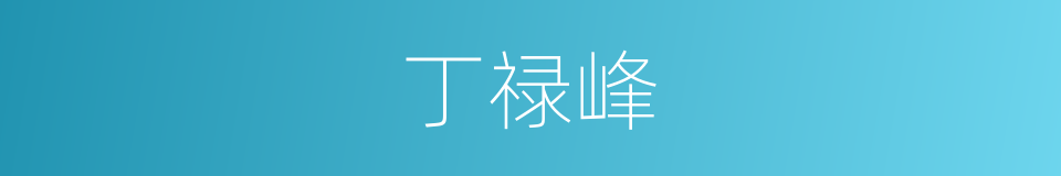 丁禄峰的同义词