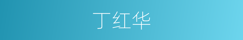 丁红华的同义词
