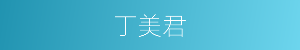 丁美君的同义词