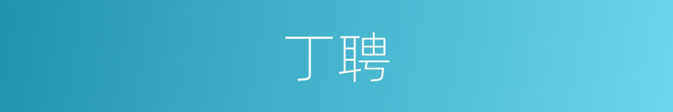 丁聘的同义词