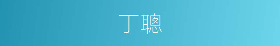 丁聰的同義詞