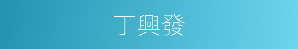 丁興發的同義詞