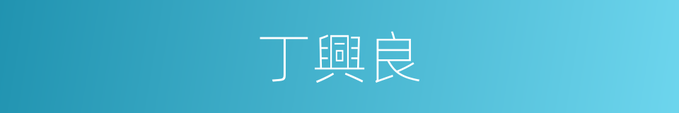丁興良的同義詞