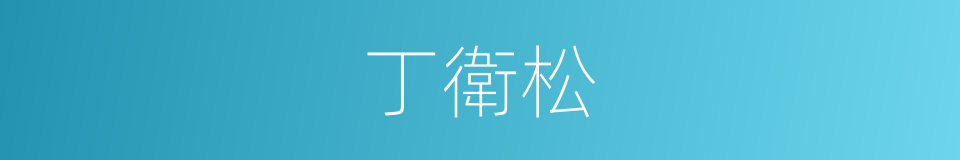 丁衛松的同義詞