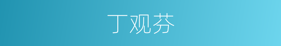 丁观芬的同义词