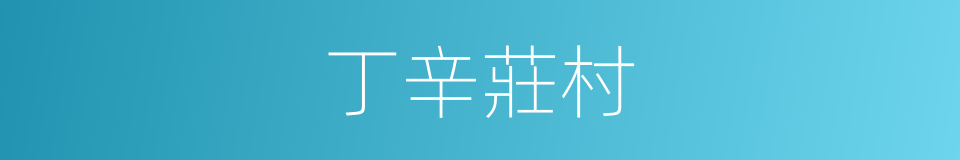 丁辛莊村的同義詞