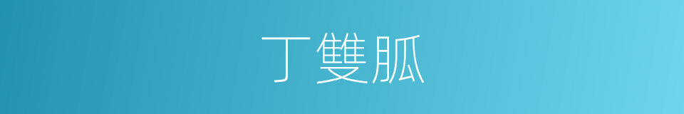 丁雙胍的同義詞