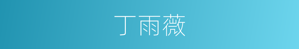 丁雨薇的同义词