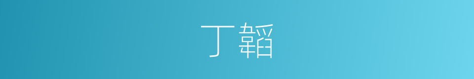 丁韜的同義詞