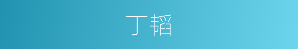 丁韬的同义词