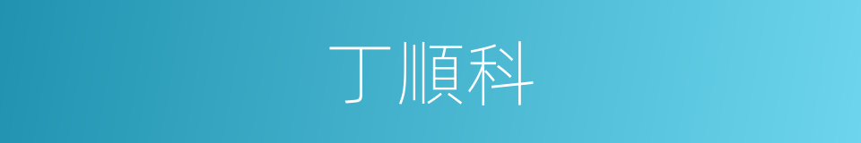 丁順科的同義詞