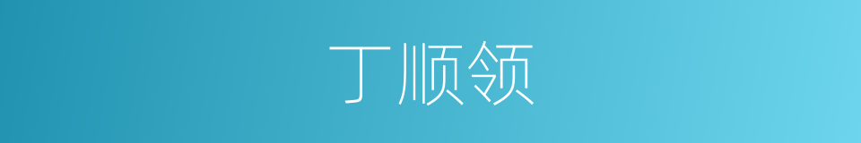 丁顺领的同义词