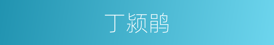 丁颍鹃的同义词